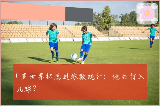 C罗世界杯总进球数统计:他共打入几球?