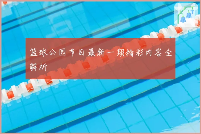 篮球公园节目最新一期精彩内容全解析