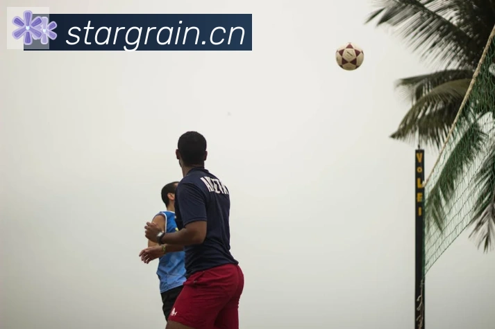 爱游戏ayx体育平台生态图